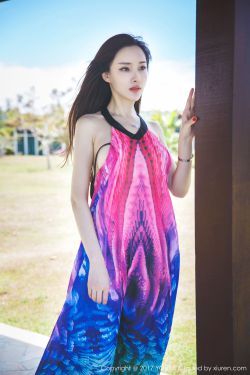 傻儿师长
